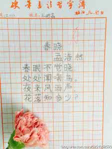 汉字书写大赛 汉字书写大赛词根汇总篇
