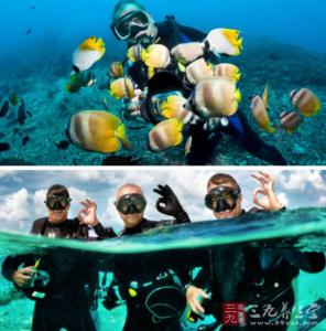 运动防护基本常识 健身常识 潜水运动的基本常识