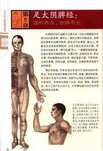 咳嗽中医辨证 转给你身边平胸的女孩 20个中医治咳嗽秘方,转给你身边需要的人吧