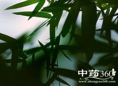 鲜竹叶的功效与作用 鲜竹叶的功效与作用 竹叶的功效与作用