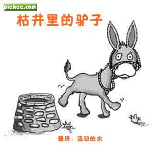 驴子掉进枯井 【掉进枯井的驴】