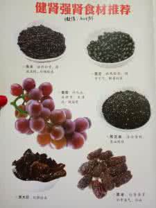 怎么养肾固精 谈一谈在家里吃什么可以养肾固精