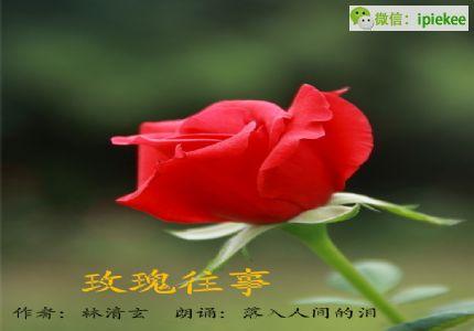 玫瑰往事 小说 玫瑰往事