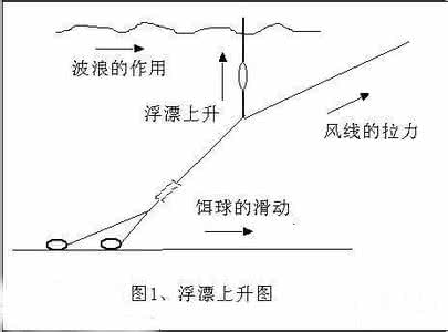 水库草鱼钓法 在水库钓鱼的特点与钓法介绍