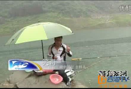 鲢鳙 【江湖钓技】晚春初夏，就该钓鲢鳙这家伙！