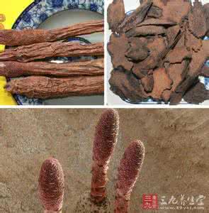 锁阳的功效与作用 锁阳怎么吃才能发挥更大作用
