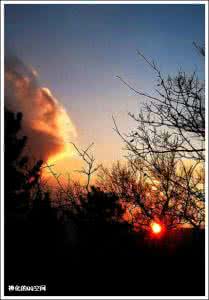 开家自己文艺温暖小店 温暖自己 感染别人