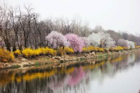 谁见过梦中的桃花源 鹰潭：梦中的桃花源