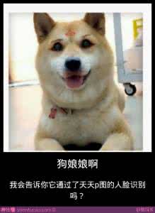 狗健康的标准是什么