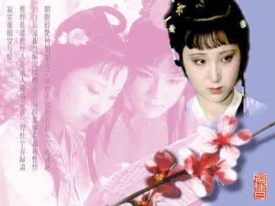 红楼梦林黛玉故事情节 黛玉的天情——节选自《王蒙的红楼梦》