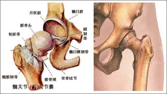 治疗颈椎病腰椎病 治股骨头坏死 颈腰椎病秘方