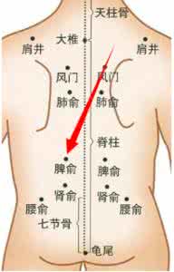 肾俞 肾俞穴位的作用 强壮肾气缓解腰痛