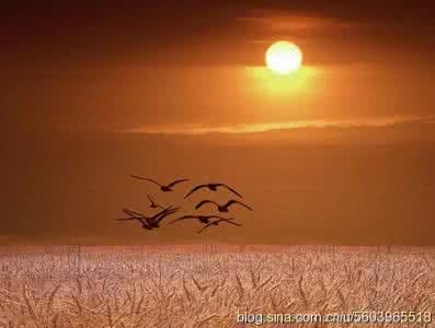 人生太短 回忆太长 四苦，四难，四不幸，人生太短太不容易了！