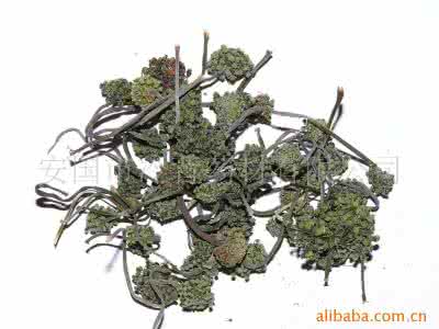 夏枯草的功效与作用 颈部结块的克星——夏枯草