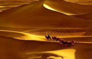 梦见沙漠 沙漠 梦见沙漠