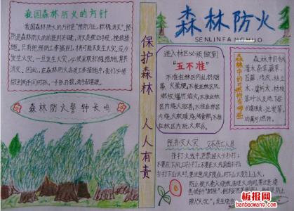 防火小知识手抄报内容 防火小知识手抄报 森林防火小知识手抄报