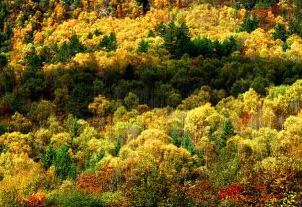 提前做好准备的成语 做好准备拍秋色
