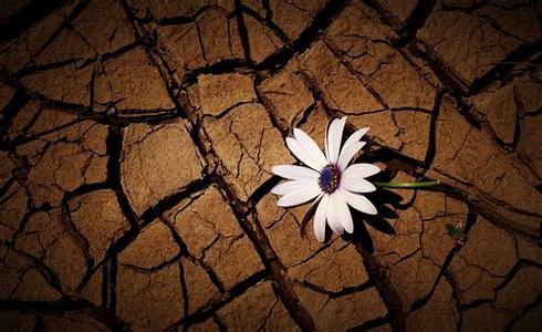 强迫症康复的大彻大悟 离婚后大彻大悟的反思