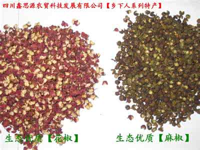 花椒 藤椒 胡椒 麻椒 花椒 麻椒 藤椒的区分与用法