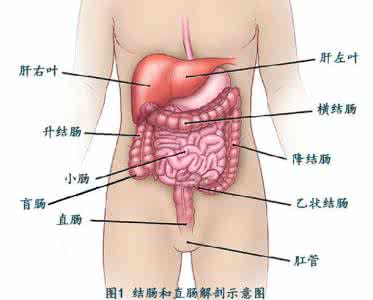 结肠癌 图解：简单三步丨认识结肠癌，远离结肠癌