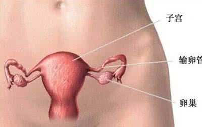 女性更年期 月经 关系 女性月经与怀孕的4大关系