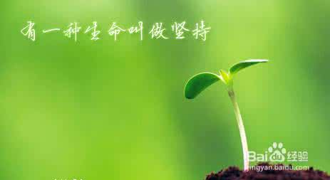 循序渐进 循序渐进,逐步实现目标