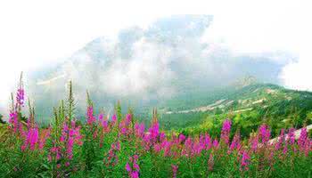 北京春游好去处 北京春游 北京春游好去处