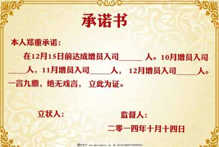 商务条款承诺书 承诺书 商务承诺书