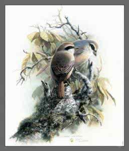 最精美的门票收藏 幸福，就藏在你的笑容里！【精美图文】