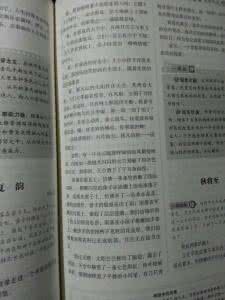 美丽的夏天作文50字 美丽的夏天作文100字