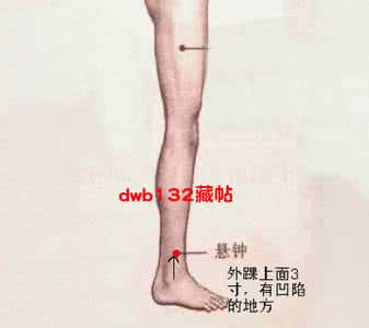 悬钟按压痛 悬钟穴降压