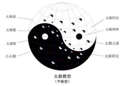 杨云中太极智慧学院 太极中的生命智慧