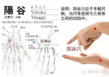 茅台不老养生酒 【穴位养生】人人手上都有个不老穴，经常按一按，降压助延年！
