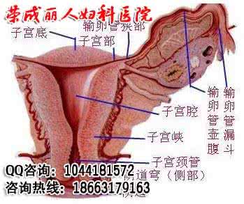 如月群真在保健室43 阴道保健在平时