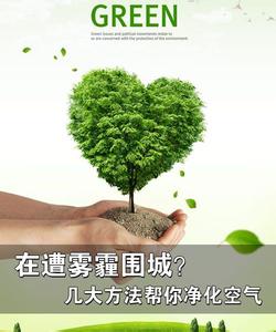 雾霾天气必备六种净化空气植物