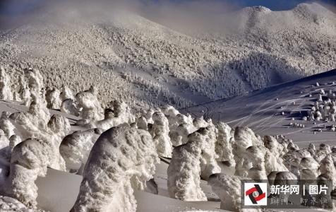 日本人把雪人都玩坏了 日本上万“雪人”陪徒步者登雪山场面壮观