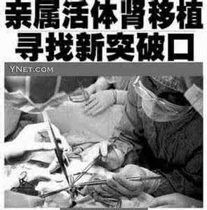 肾脏移植配型 肾脏移植新革命，无需配型直接上