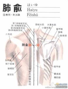 揉肺俞 揉肺俞 治各种咳嗽