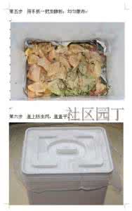 堆肥 家庭式厨馀堆肥桶需具有哪些基本配备?