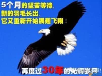 鹰的重生 百看不厌 不改变,就等死:鹰的重生