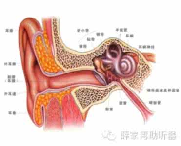 了解影响身高因素 耳鸣的原因 了解5个因素可避开耳鸣