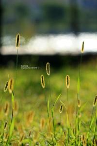 愿岁月待你好 岁月，你好