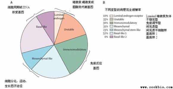 化疗敏感性 miRNA调节乳腺癌化疗敏感性