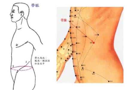 穴位图 可以看到跟骨头的位置