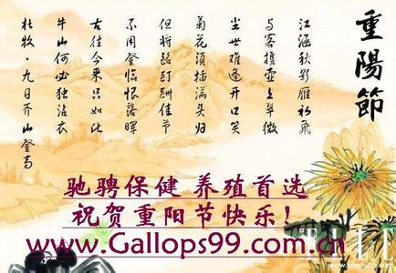 重阳节祝福短信 2013九九重阳节祝福短信大全（爱情篇）