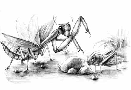 蓄势待发用在什么语境 在沉潜中蓄势待发