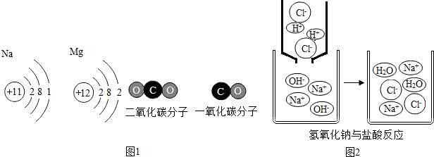 物理变化和化学变化 物理变化和化学变化的区别 由分子构成的物质，发生物理变化和化学变化的本质区别是（）A．分子重新组合B．原子重新组合C．物质的状