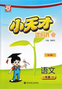 英文小天才全集视频 语文小天才教程全90集【视频】*