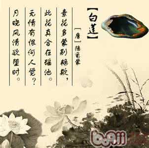 陆龟蒙 陆龟蒙诗选(五、六)