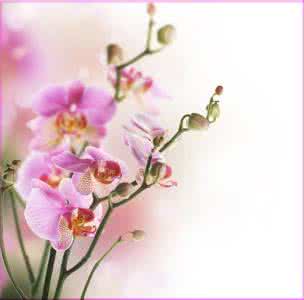 人情冷暖 患难时，读懂了人情冷暖；平淡中，体会到缘分善变。